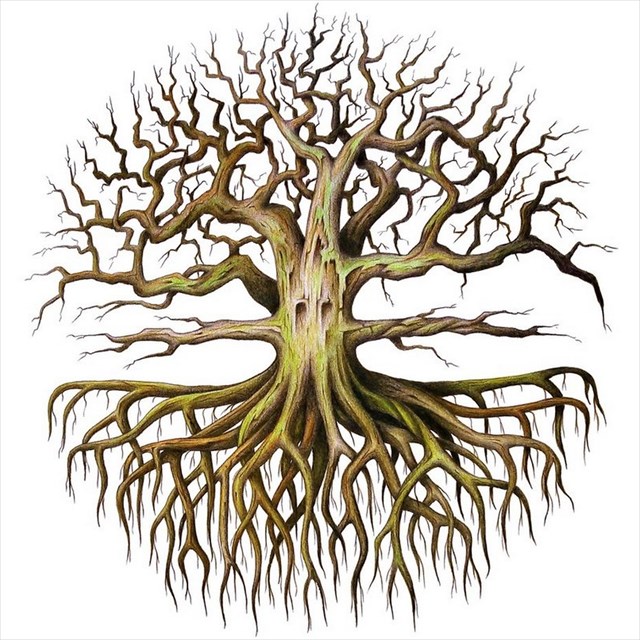 Click to verify coordinates