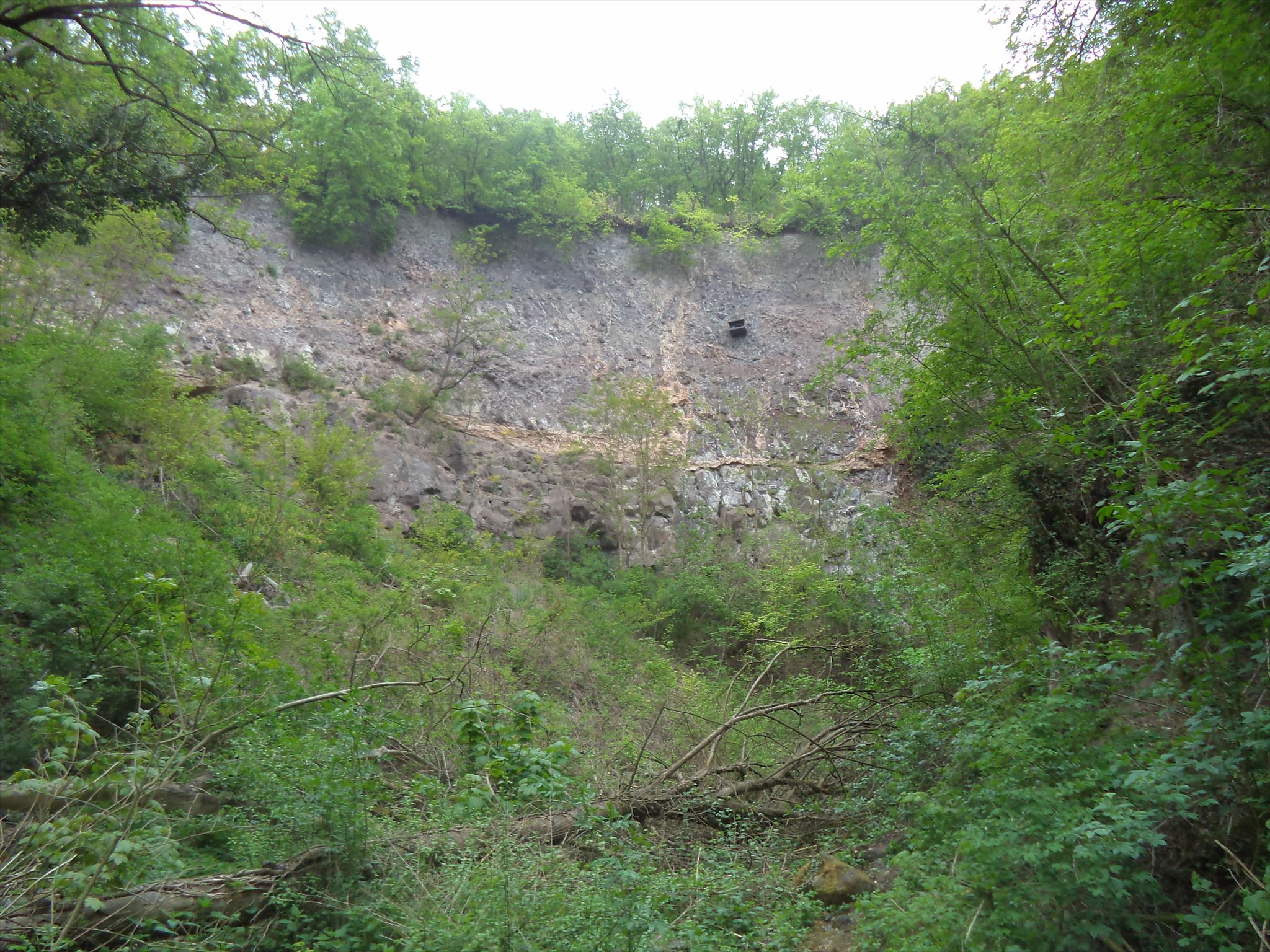 Steinbruch 1