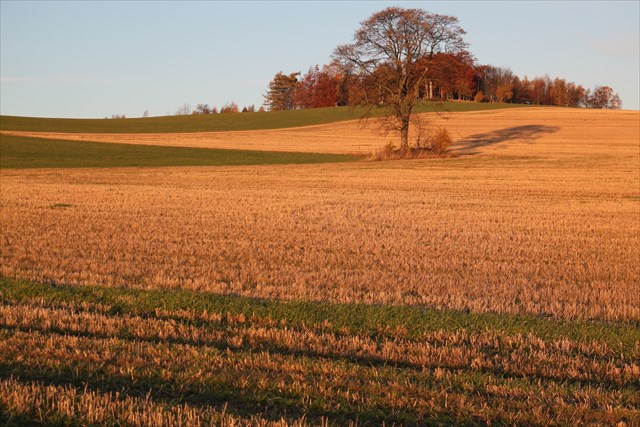 Morgensternhöhe -Ein Abstecher lohnt sich