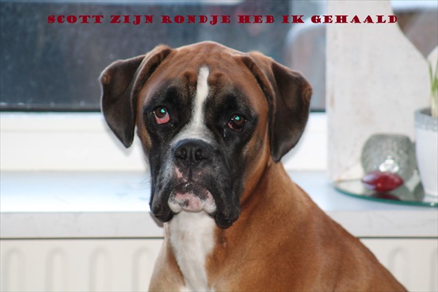 Scott zijn rondje GC5GD7K Scott zijn rondje GC5GD7K