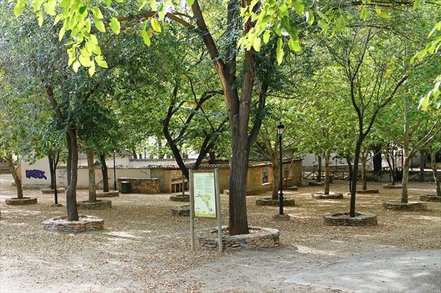 Zona de aparcamiento y barbacoas