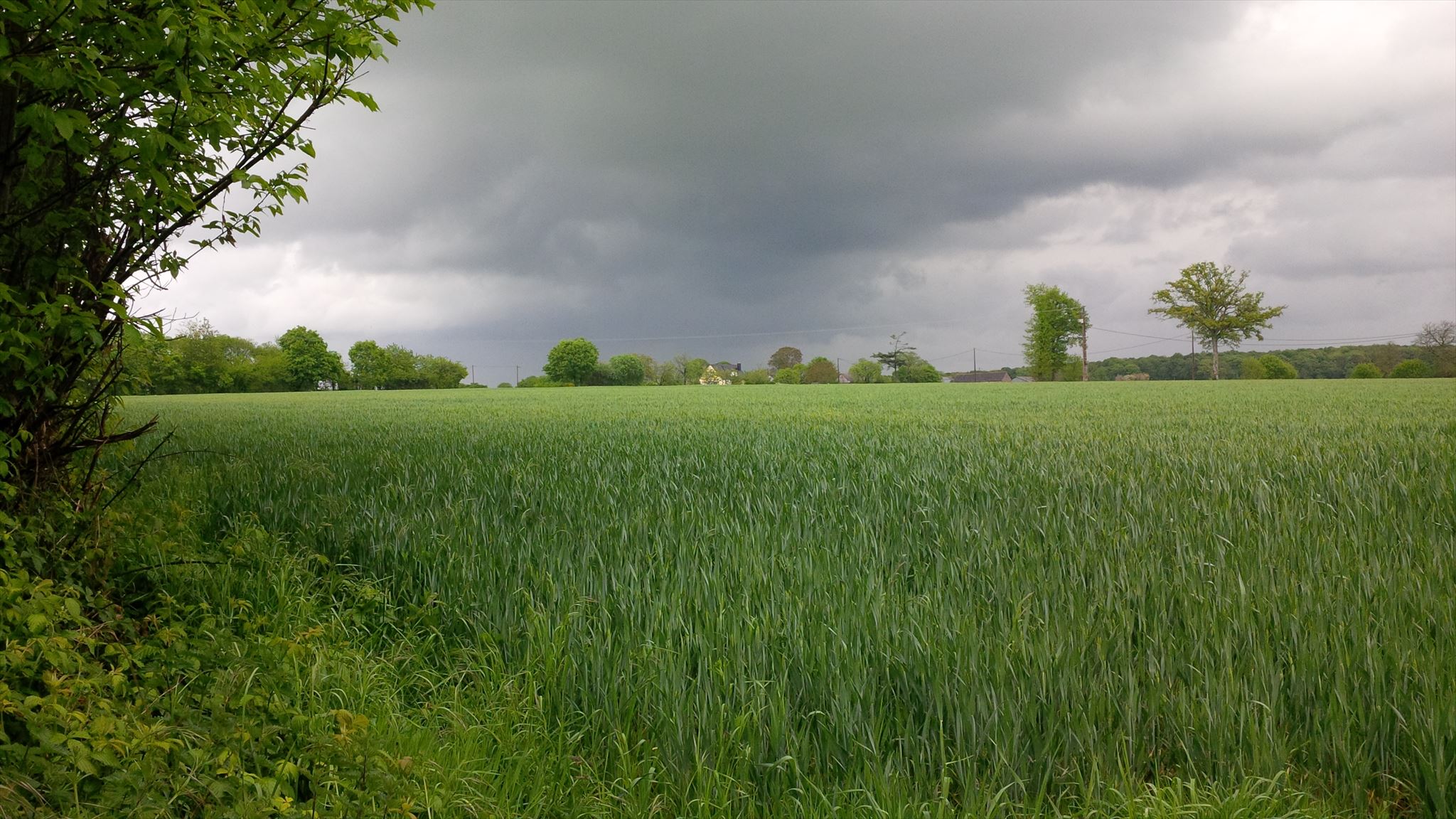 La #5 sous les nuages