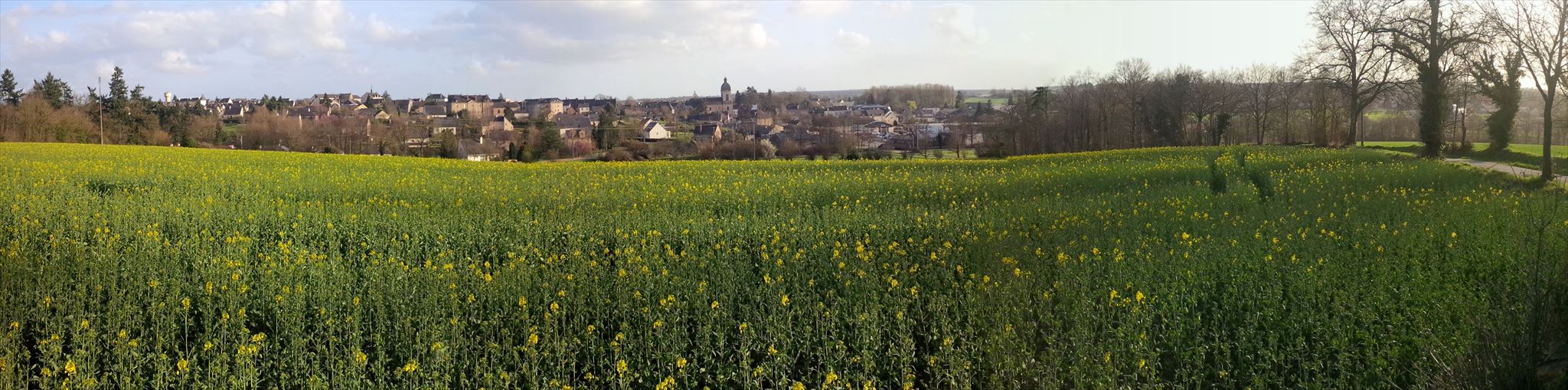 le Panorama de La Salamandre