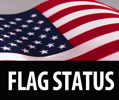 Check the Status of the Flag
