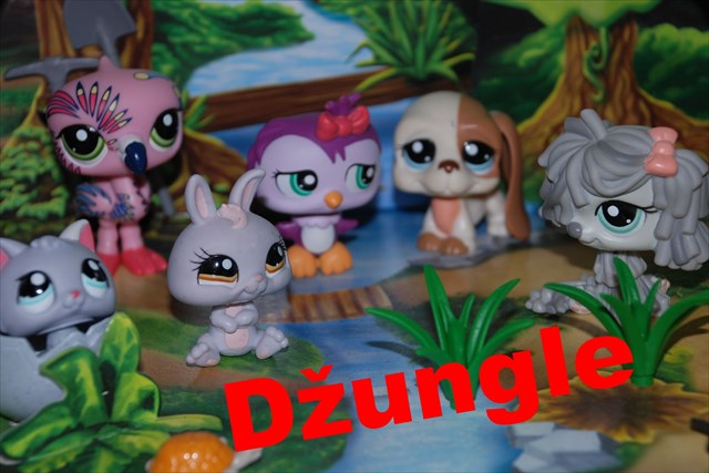 Dzungle