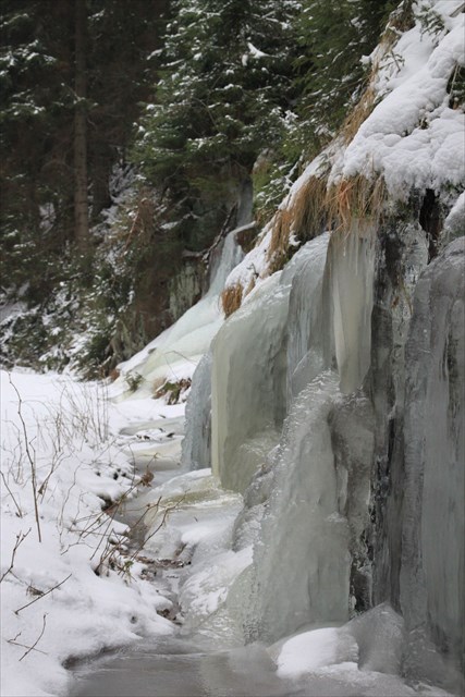 Winter im Schwarzwassertal