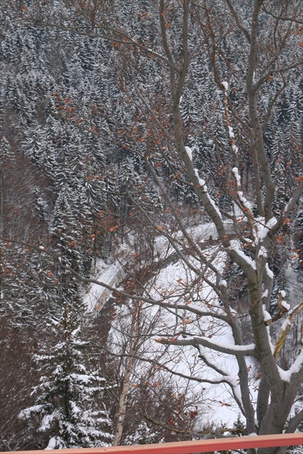 Schwarzwassertal im Winter