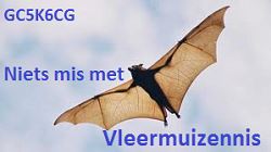 Vleermuizennis van Xiefehl