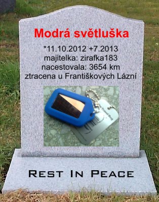 Modrá světluška
