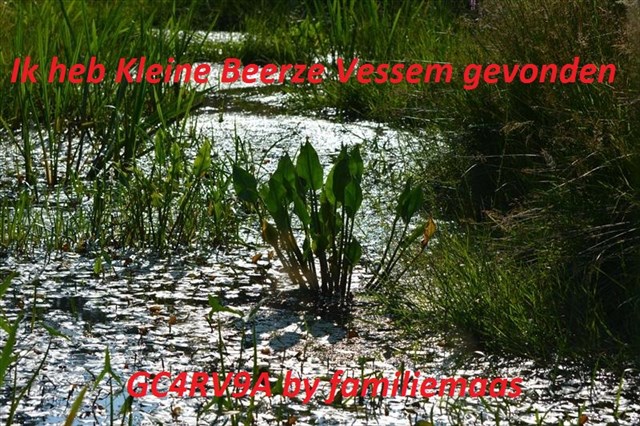 Kleine Beerze Vessem Kleine Beerze Vessem