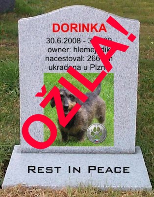 DORINKA