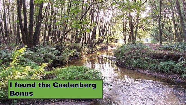 Caelenberg Bonus Caelenberg Bonus