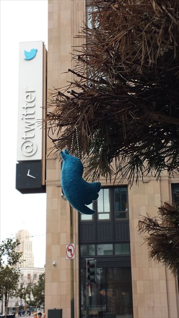 Birdy at the Twitter HQ in SF