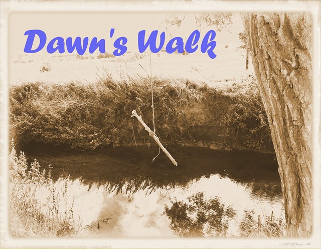 Dawn's Walk