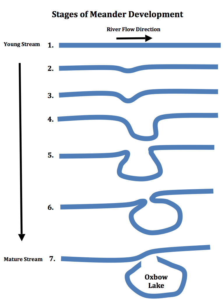 Meander Formation