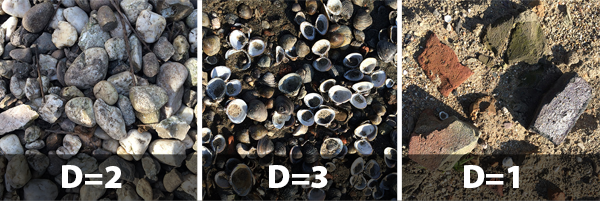 WP4