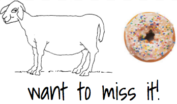 DonutPun
