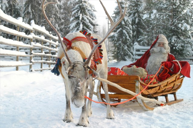 Dasher
